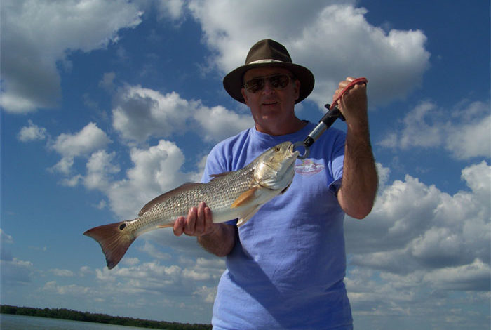 red fish